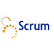 Scrum Organization